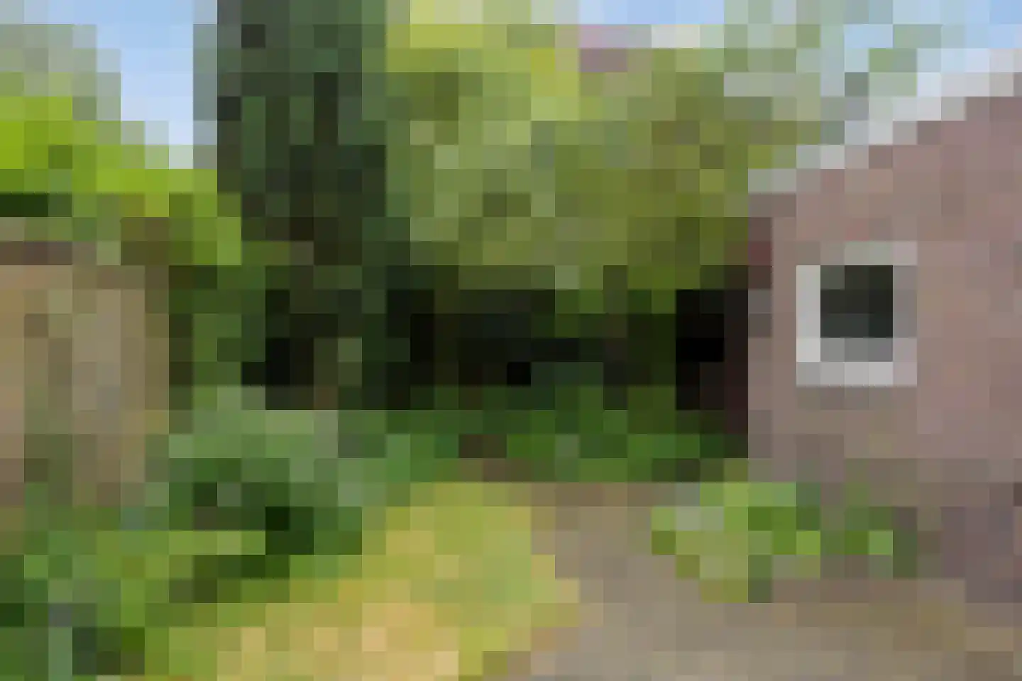 St Gerarduslaan 6 Eindhoven thumbnail 39