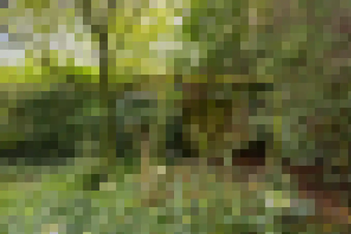 St Gerarduslaan 6 Eindhoven thumbnail 41