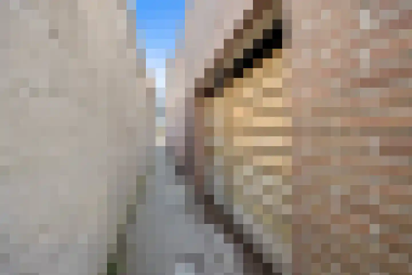 St Gerardusplein 15 01 Eindhoven thumbnail 21
