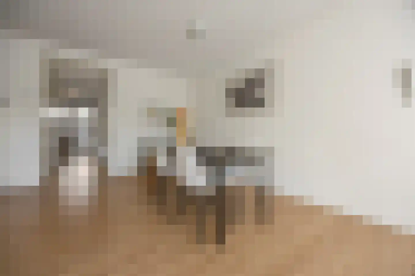 St Gerardusplein 15 01 Eindhoven thumbnail 8