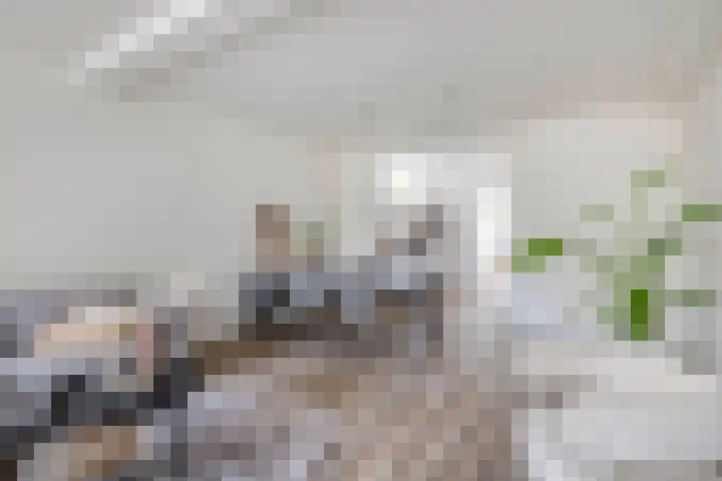 St Gerardusplein 20 Eindhoven thumbnail 14