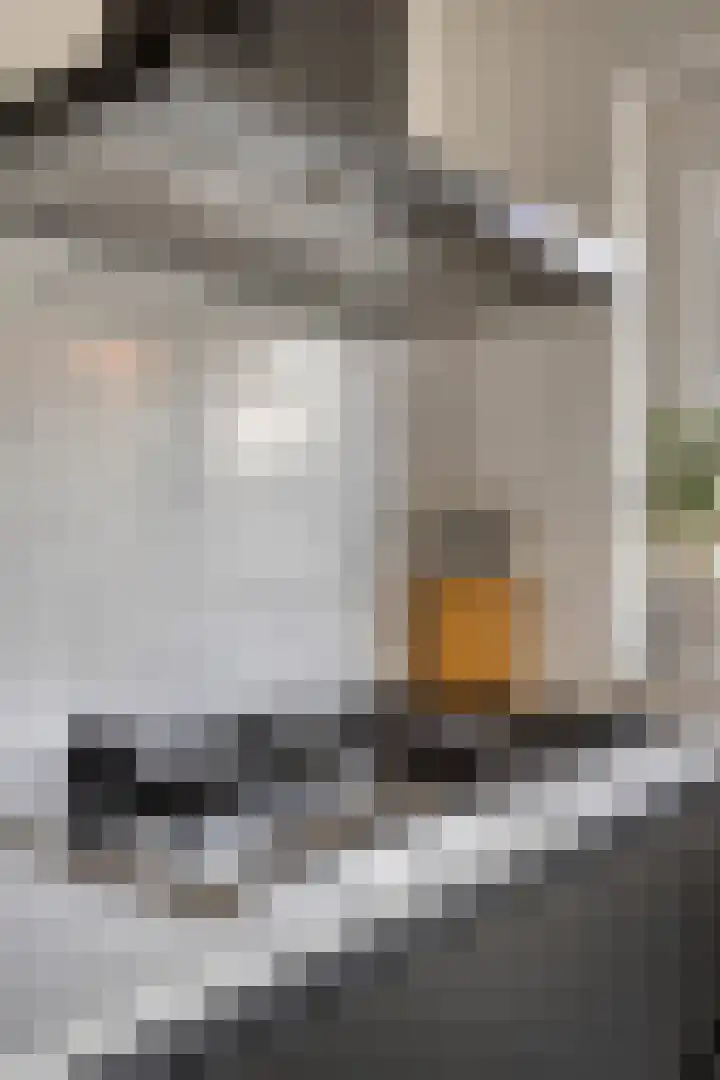 St Gertrudislaan 4 Eindhoven thumbnail 14