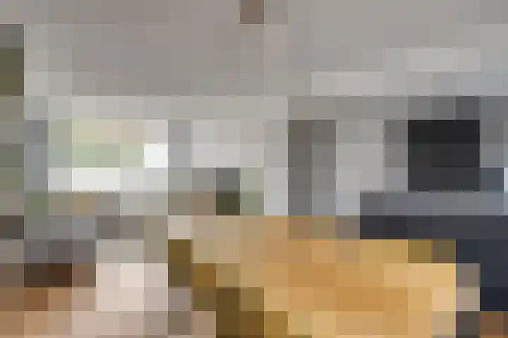 St Gertrudislaan 4 Eindhoven thumbnail 17