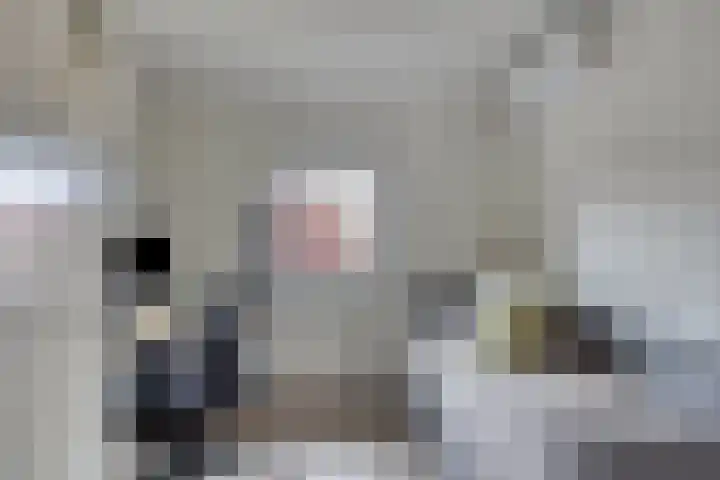 St Gertrudislaan 4 Eindhoven thumbnail 26