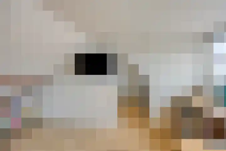 St Gertrudislaan 9 Eindhoven thumbnail 35