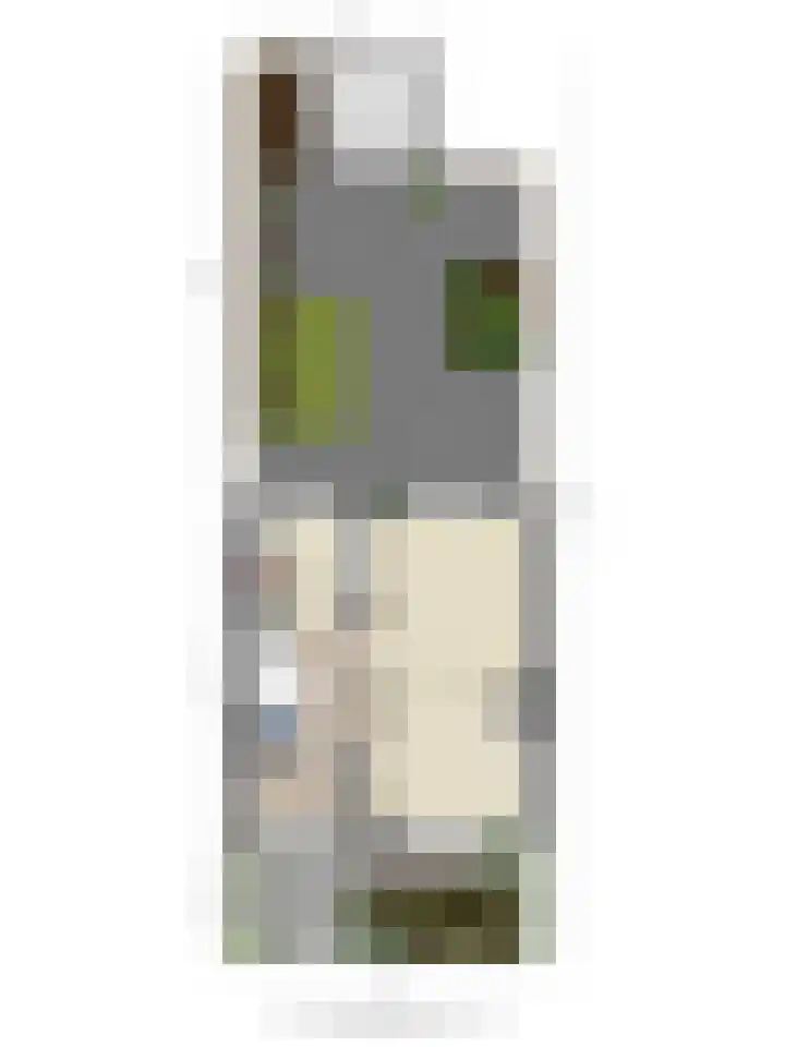 St Gertrudislaan 9 Eindhoven thumbnail 42