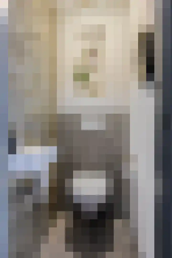St Gertrudislaan 9 Eindhoven thumbnail 9