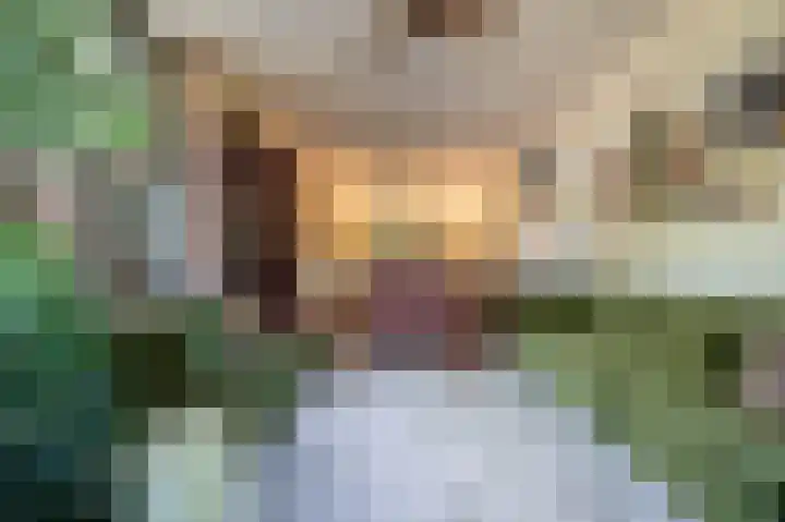 St Hubertseweg 6 Haps thumbnail 16