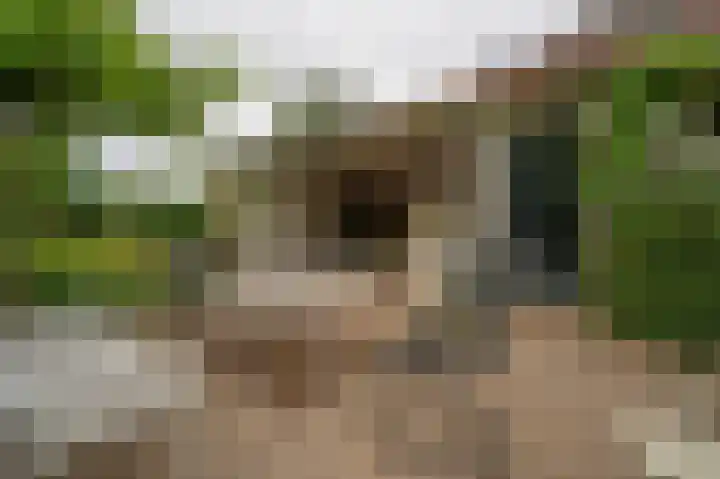 St Hubertseweg 6 Haps thumbnail 25
