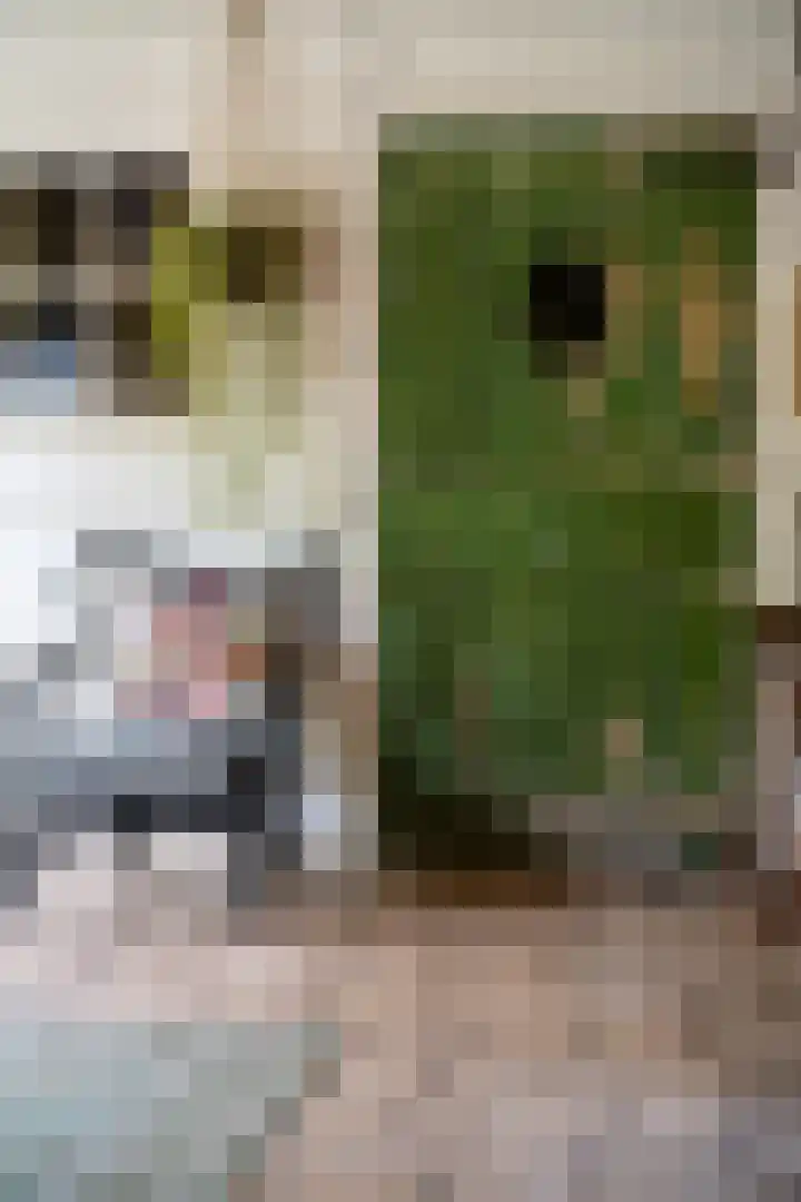 St Hubertseweg 6 Haps thumbnail 29