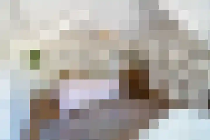 St Hubertseweg 6 Haps thumbnail 47