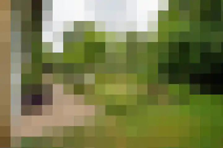 St Hubertseweg 6 Haps thumbnail 49