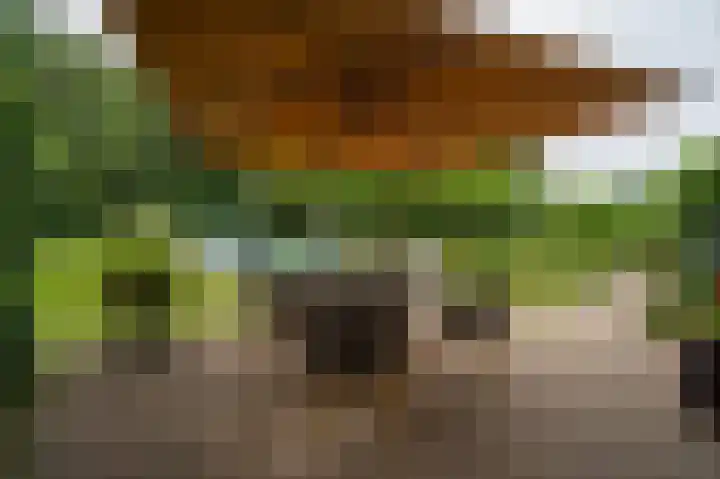 St Hubertseweg 6 Haps thumbnail 50