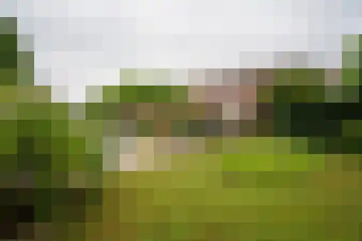 St Hubertseweg 6 Haps thumbnail 52