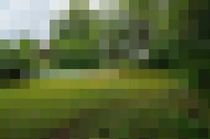 St Hubertseweg 6 Haps thumbnail 53