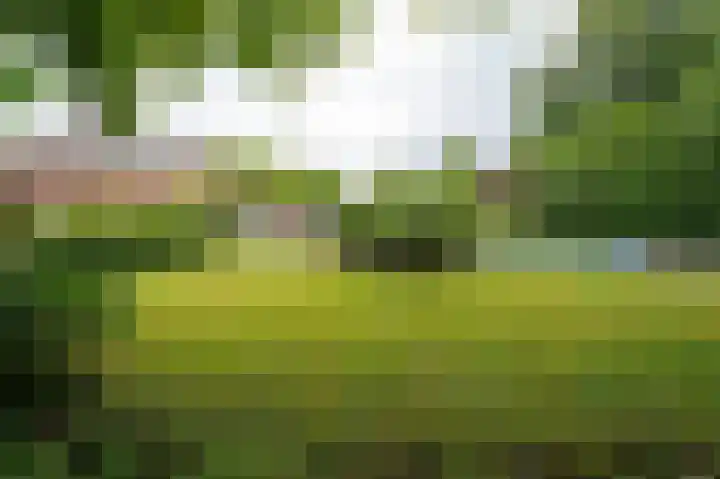 St Hubertseweg 6 Haps thumbnail 54