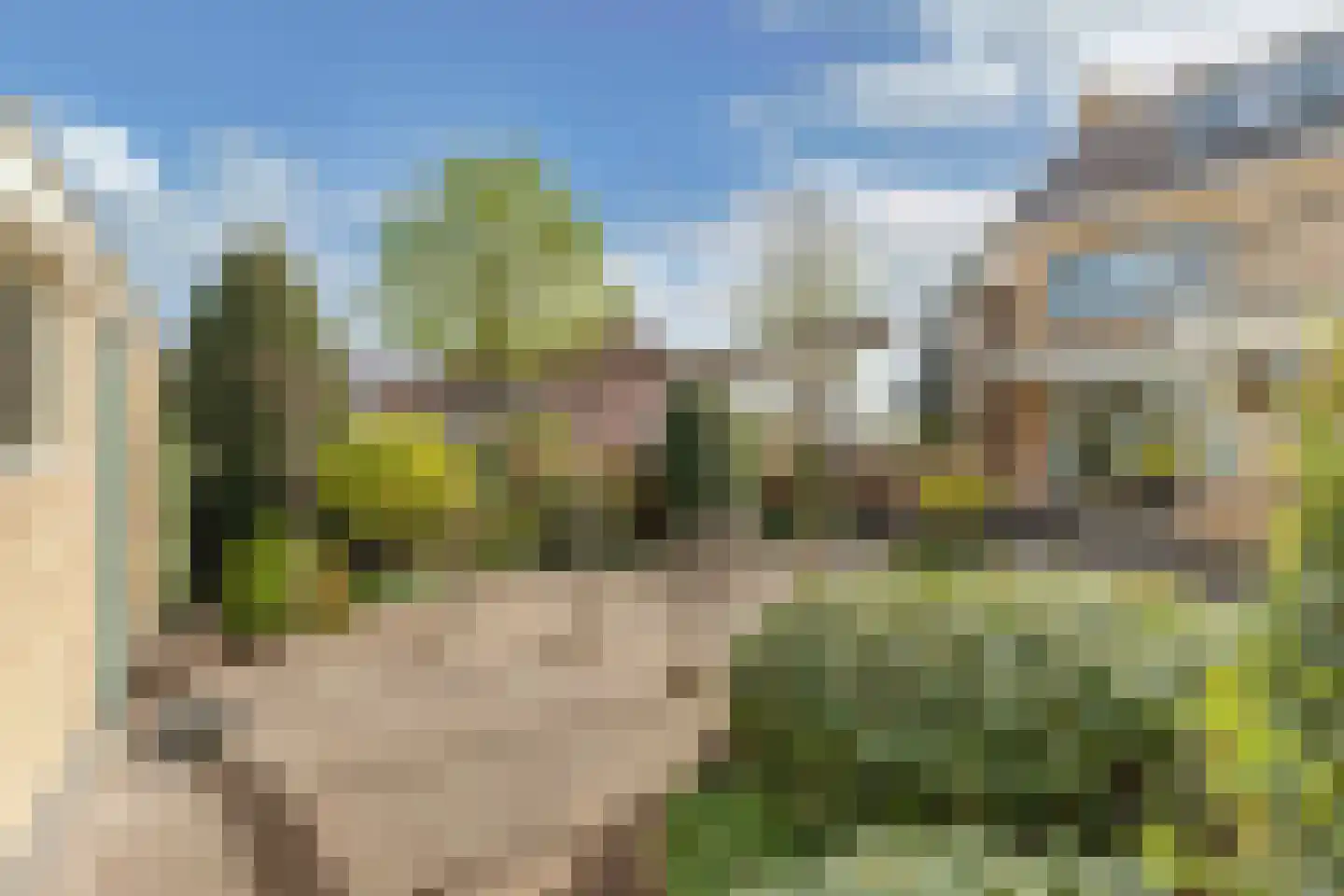 St. Hubertus-plaats 21 Tollebeek thumbnail 46