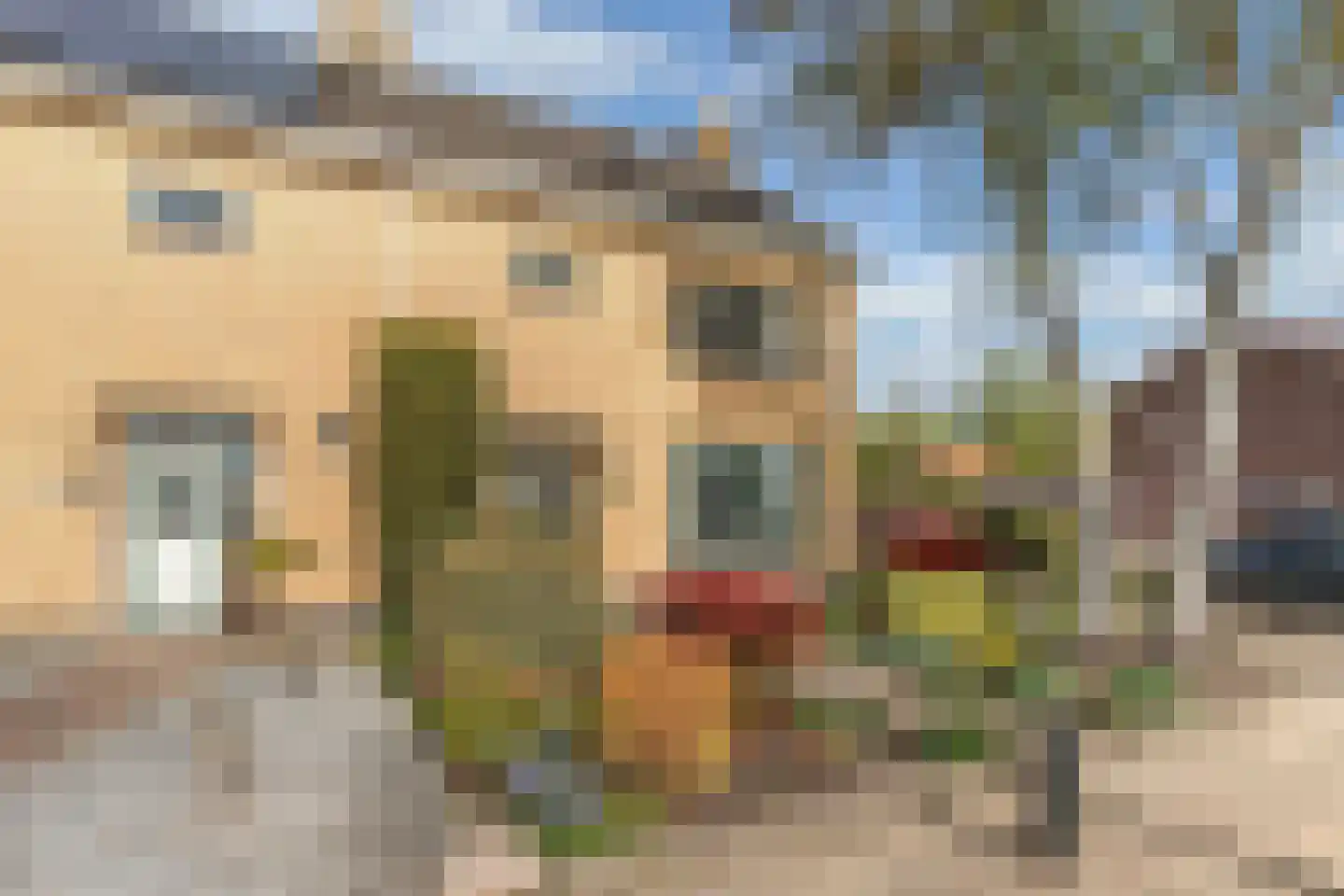 St. Hubertus-plaats 21 Tollebeek thumbnail 5