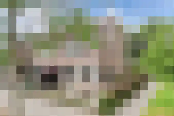 St. Hubertus-plaats 43 Tollebeek thumbnail 13