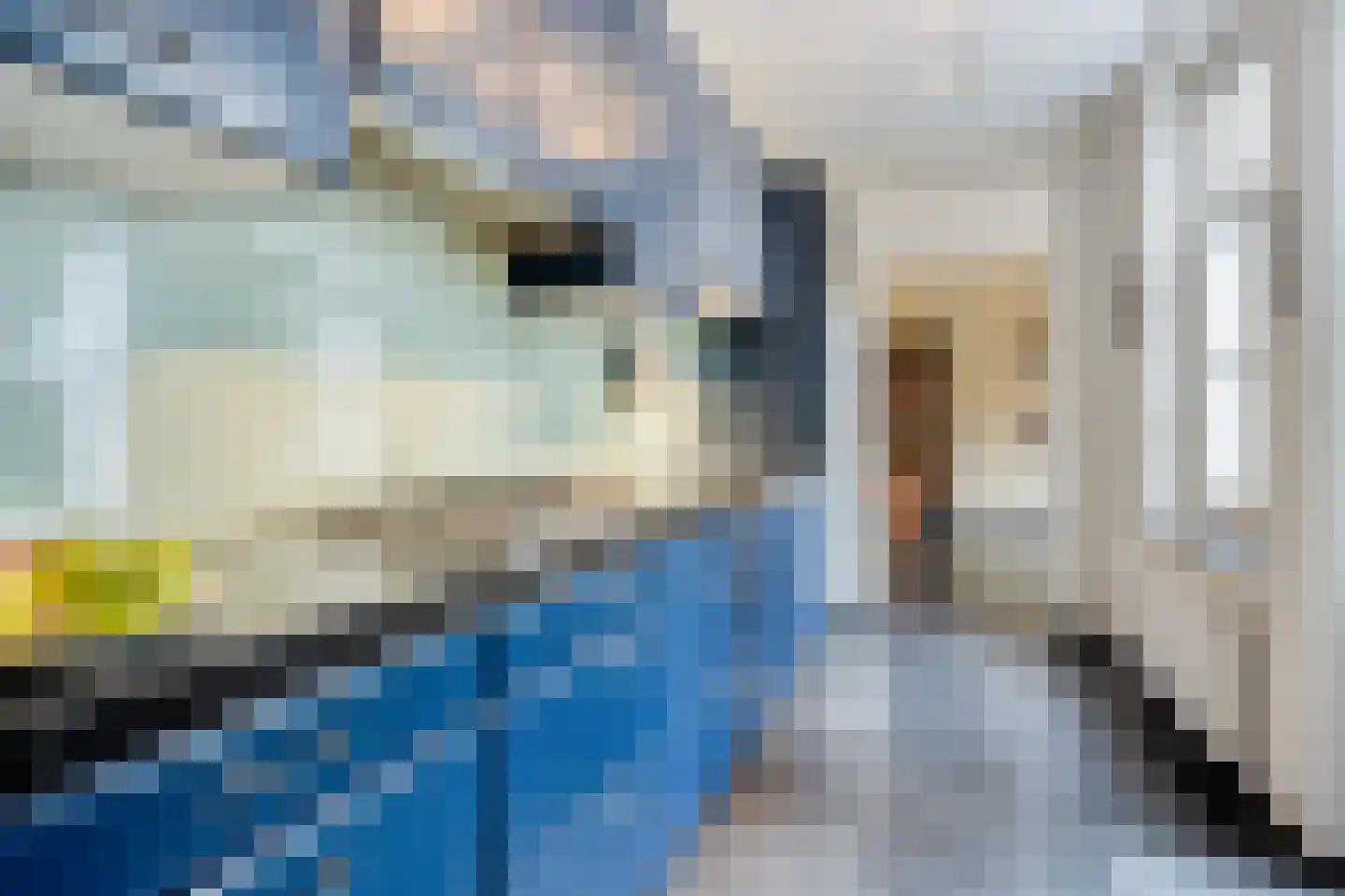 St. Hubertusstraat 1 A Herpen thumbnail 23