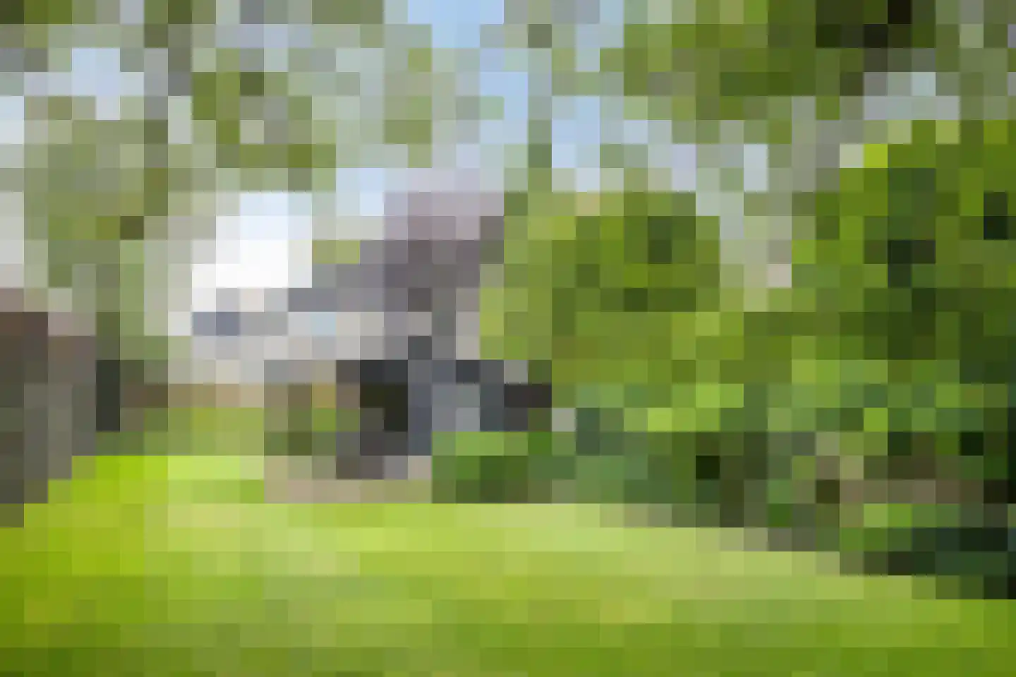 St. Hubertusstraat 1 A Herpen thumbnail 47