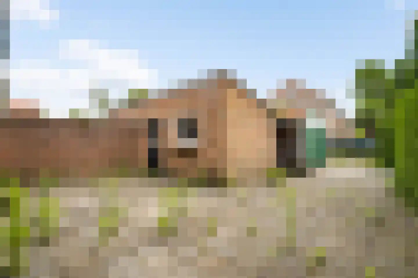 St. Hubertusstraat 14 Hegelsom thumbnail 4