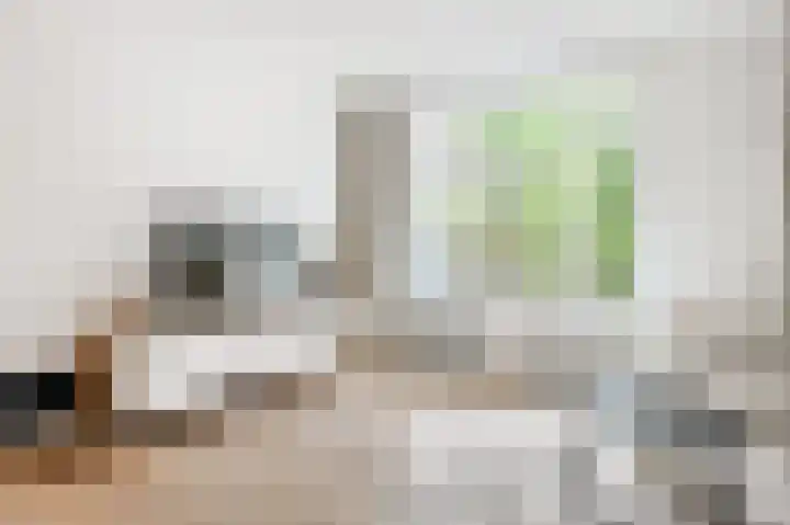 St Hubertusstraat 21 Eindhoven thumbnail 19