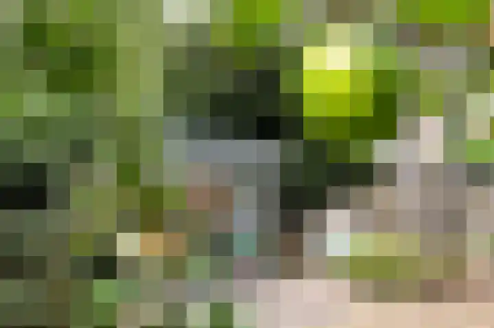 St Hubertusstraat 21 Eindhoven thumbnail 33