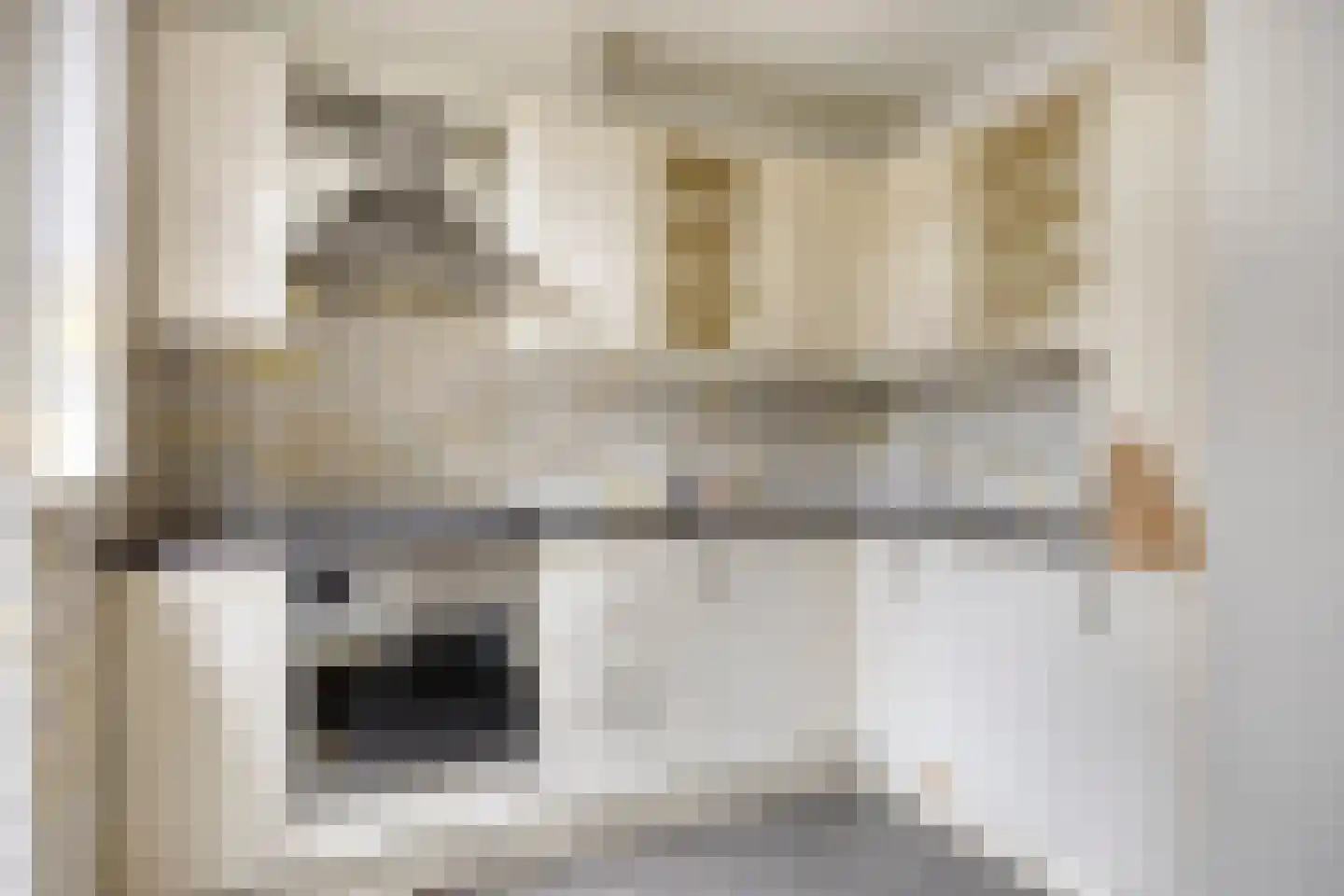 St Hubertusstraat 24 Eindhoven thumbnail 14