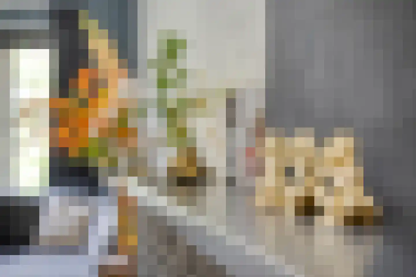 St Hubertusstraat 24 Eindhoven thumbnail 9