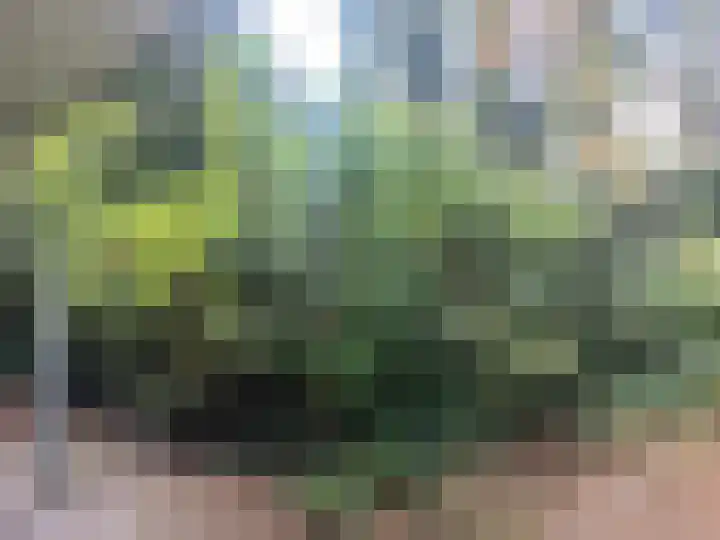 St Hubertusstraat 26 Eindhoven thumbnail 8