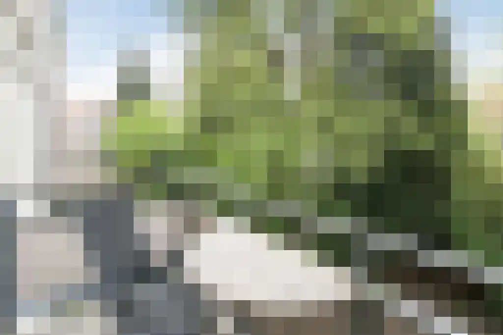 St Hubertusstraat 30 Eindhoven thumbnail 12