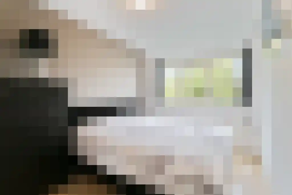 St Hubertusstraat 30 Eindhoven thumbnail 16