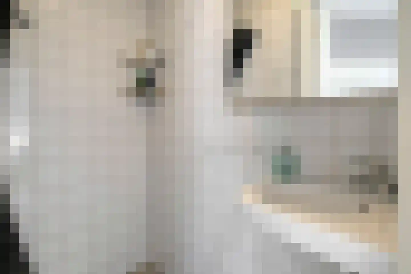 St Hubertusstraat 4 Eindhoven thumbnail 18
