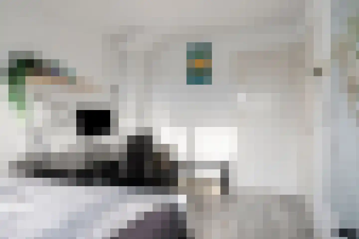 St Hubertusstraat 4 Eindhoven thumbnail 20