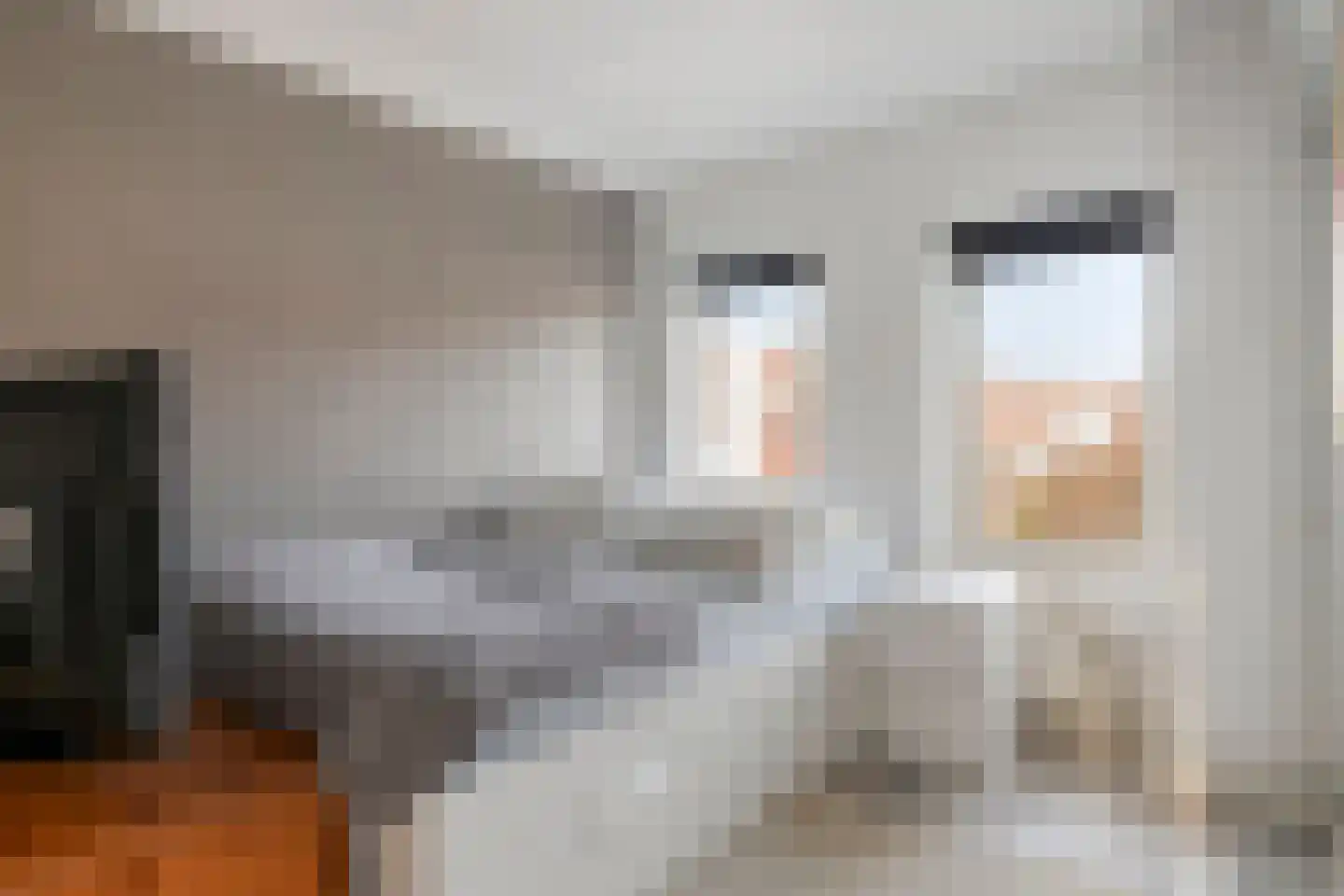 St Hubertusstraat 4 Eindhoven thumbnail 23
