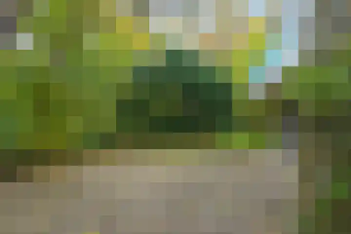 St. Hubertusweg 9 Den Haag thumbnail 5