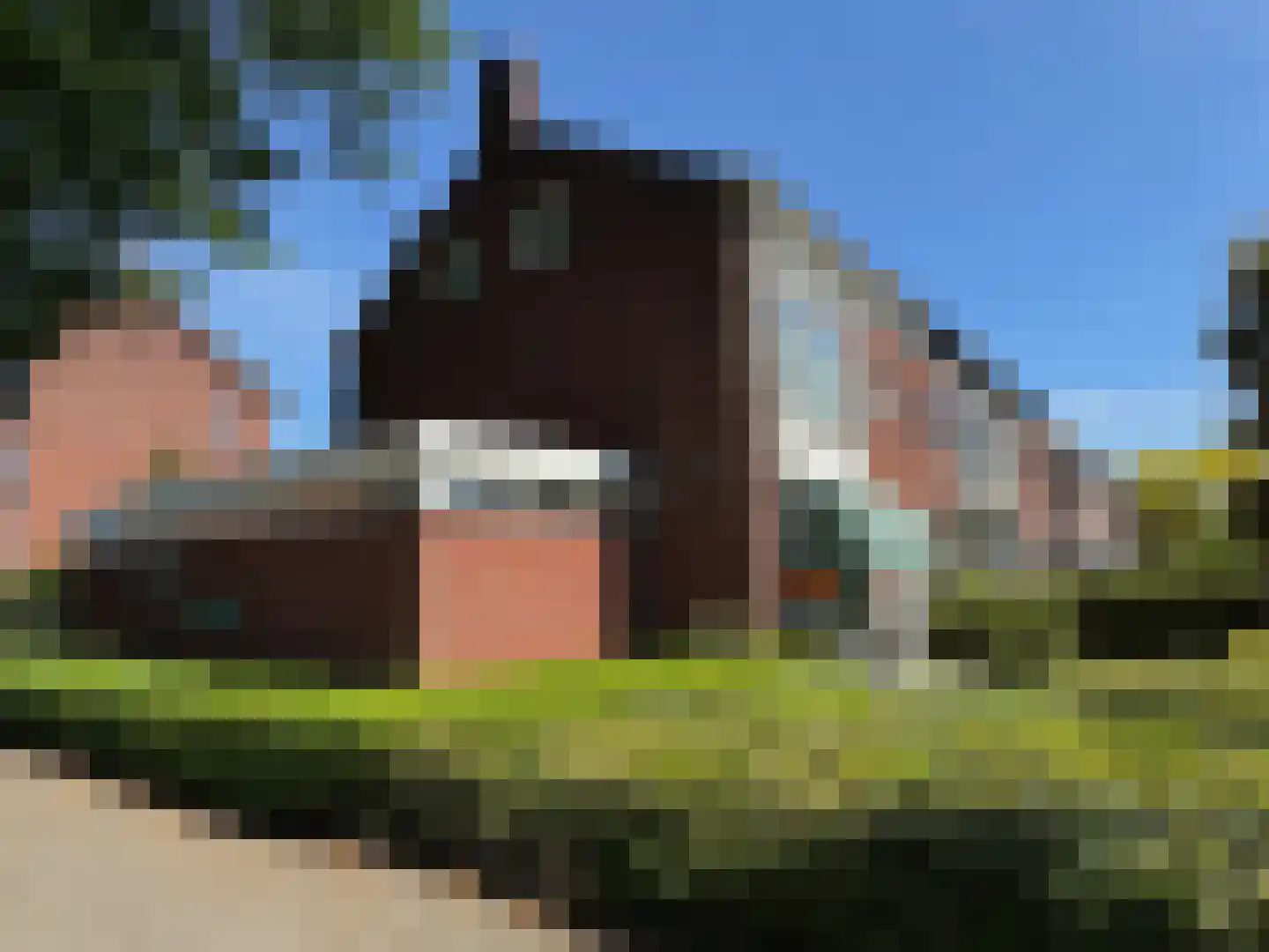 St. Ignatiusstraat 23 A Breda thumbnail 33