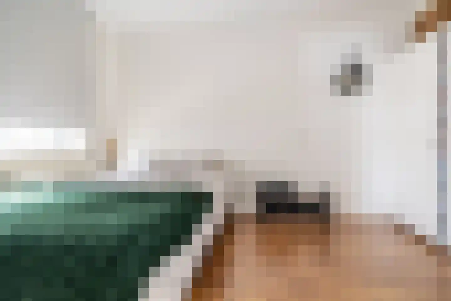St. Ignatiusstraat 34 Breda thumbnail 35