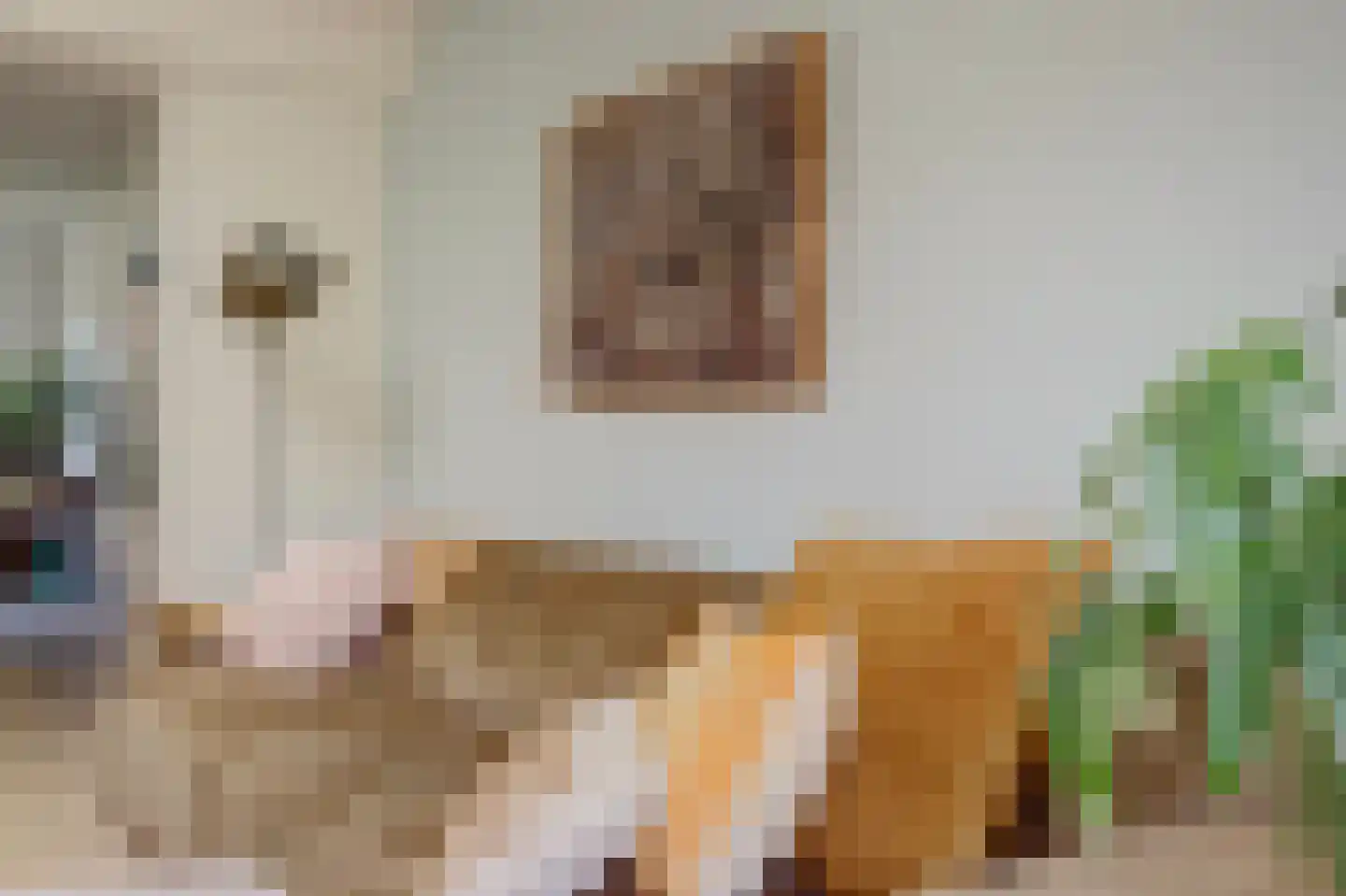 St. Ignatiusstraat 5 Hank thumbnail 23