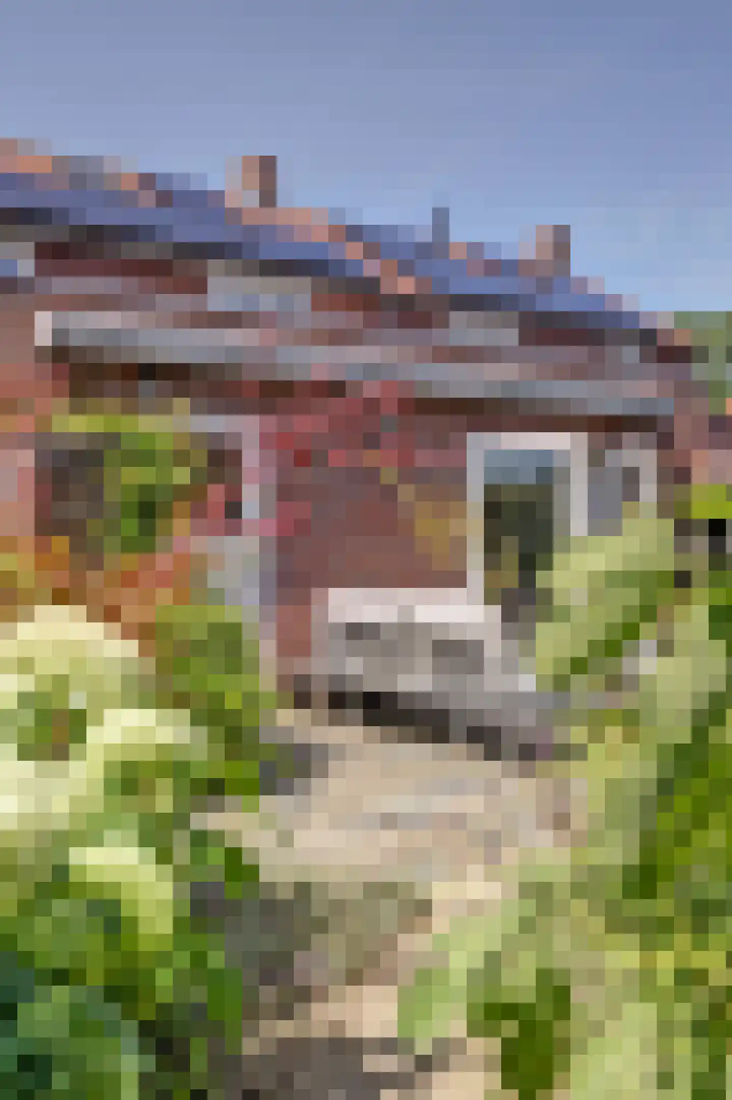 St. Ignatiusstraat 5 Hank thumbnail 43
