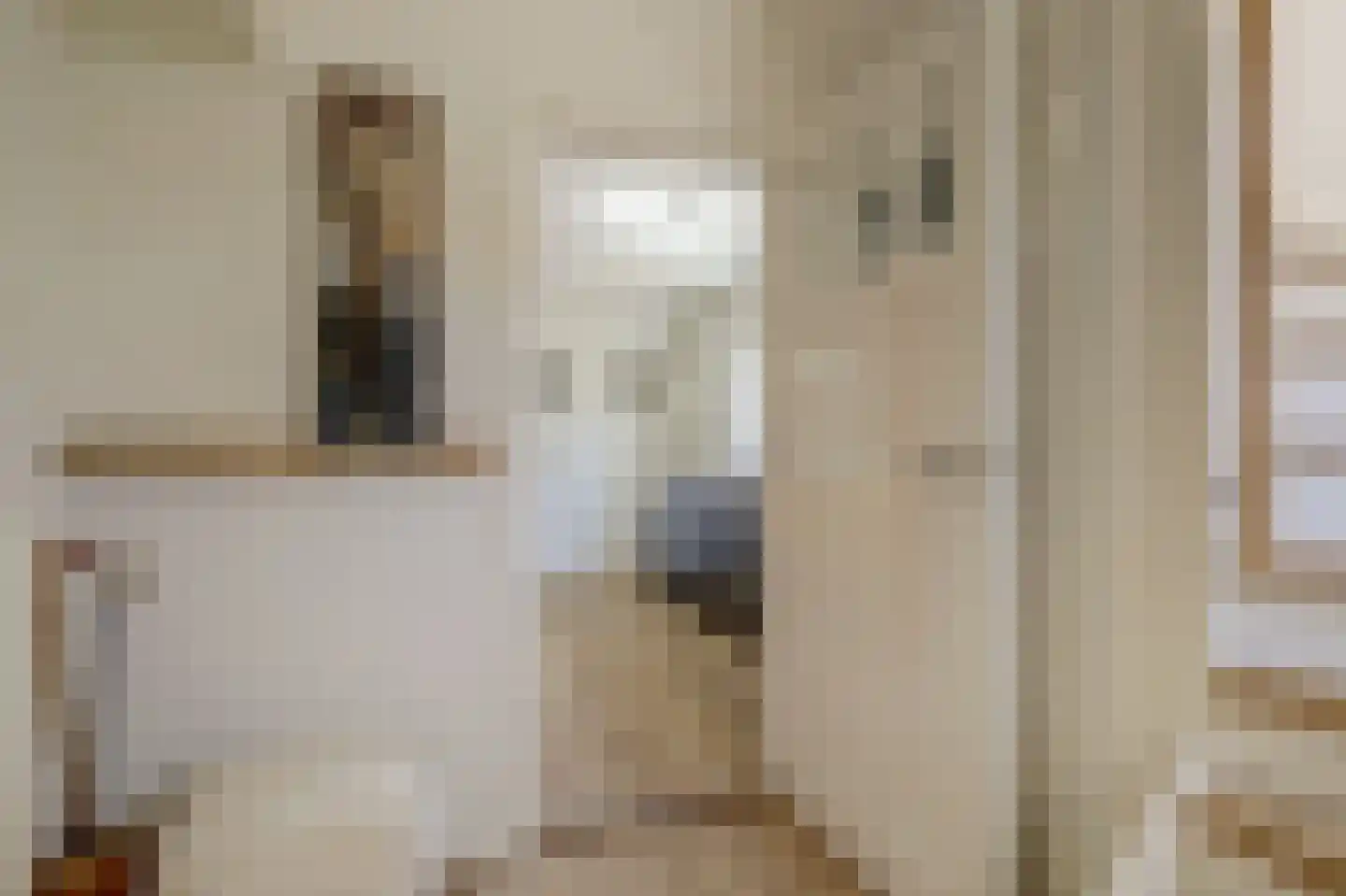 St. Ignatiusstraat 5 Hank thumbnail 8