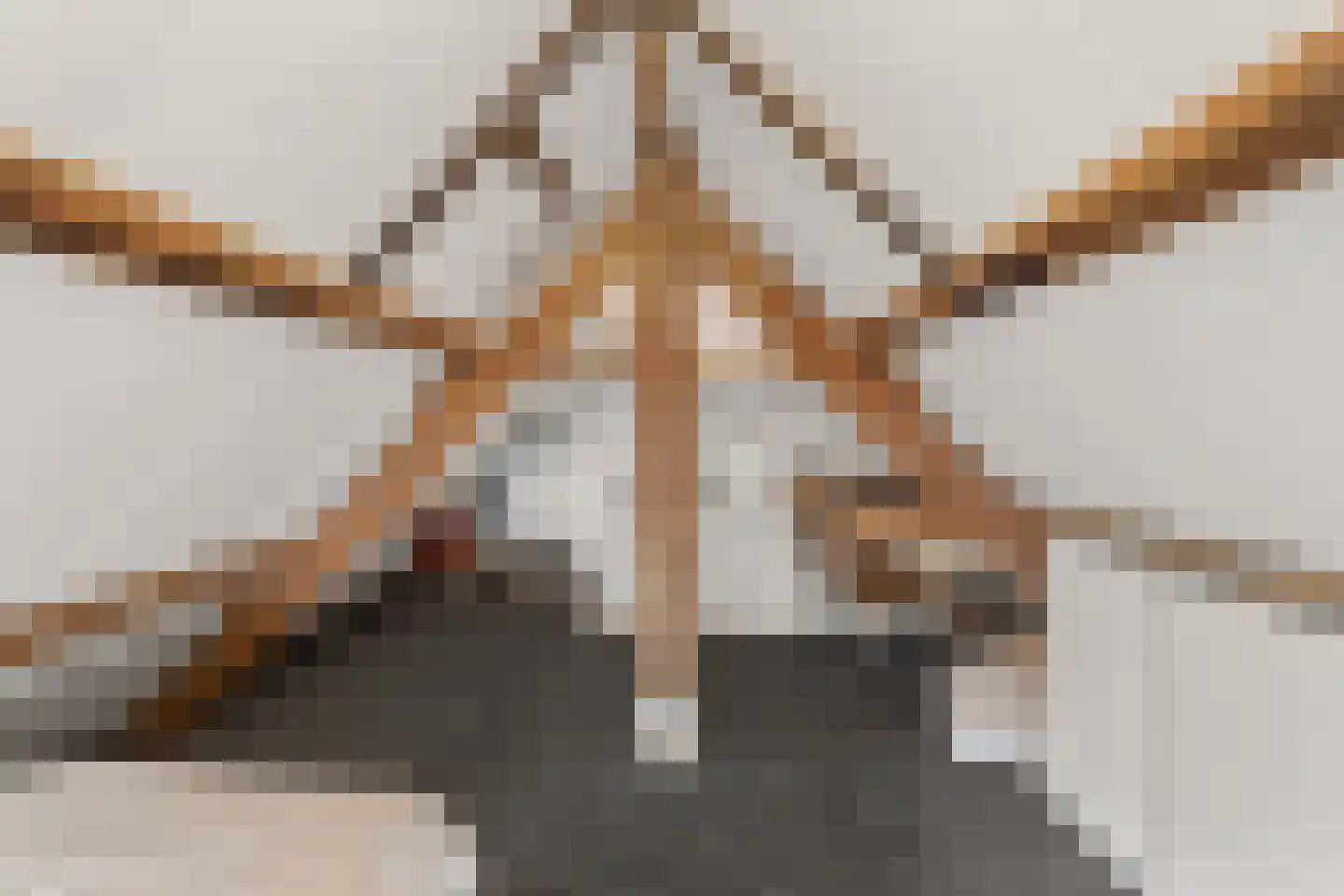 St. Jacobslaan 390 Nijmegen thumbnail 43