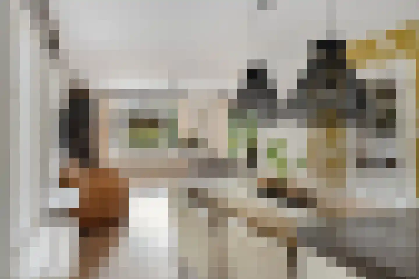 St Jacobstraat 15 De Zilk thumbnail 19
