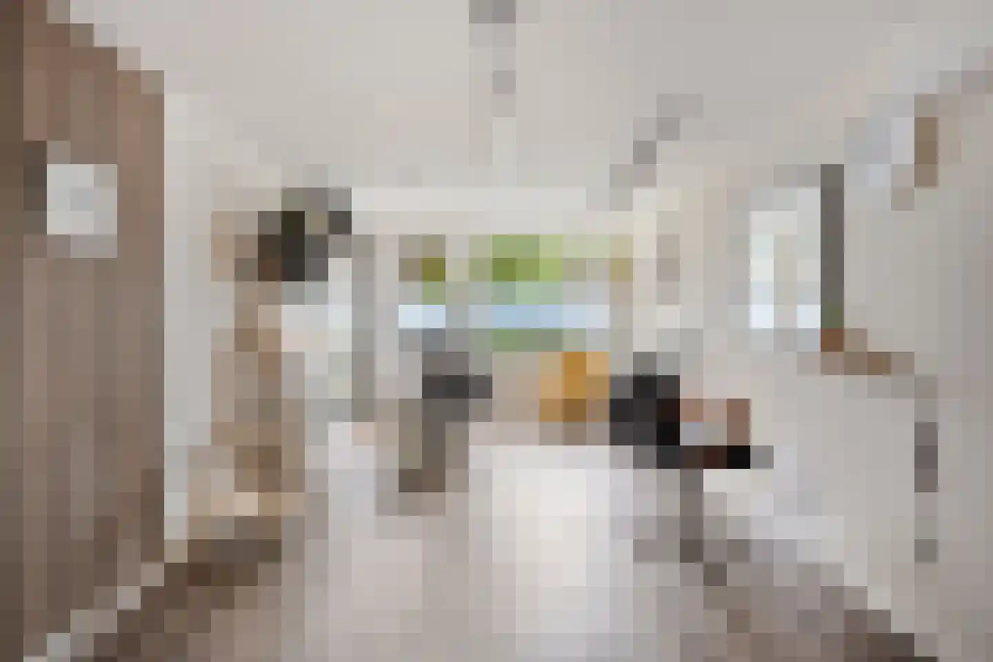 St Jacobstraat 15 De Zilk thumbnail 20