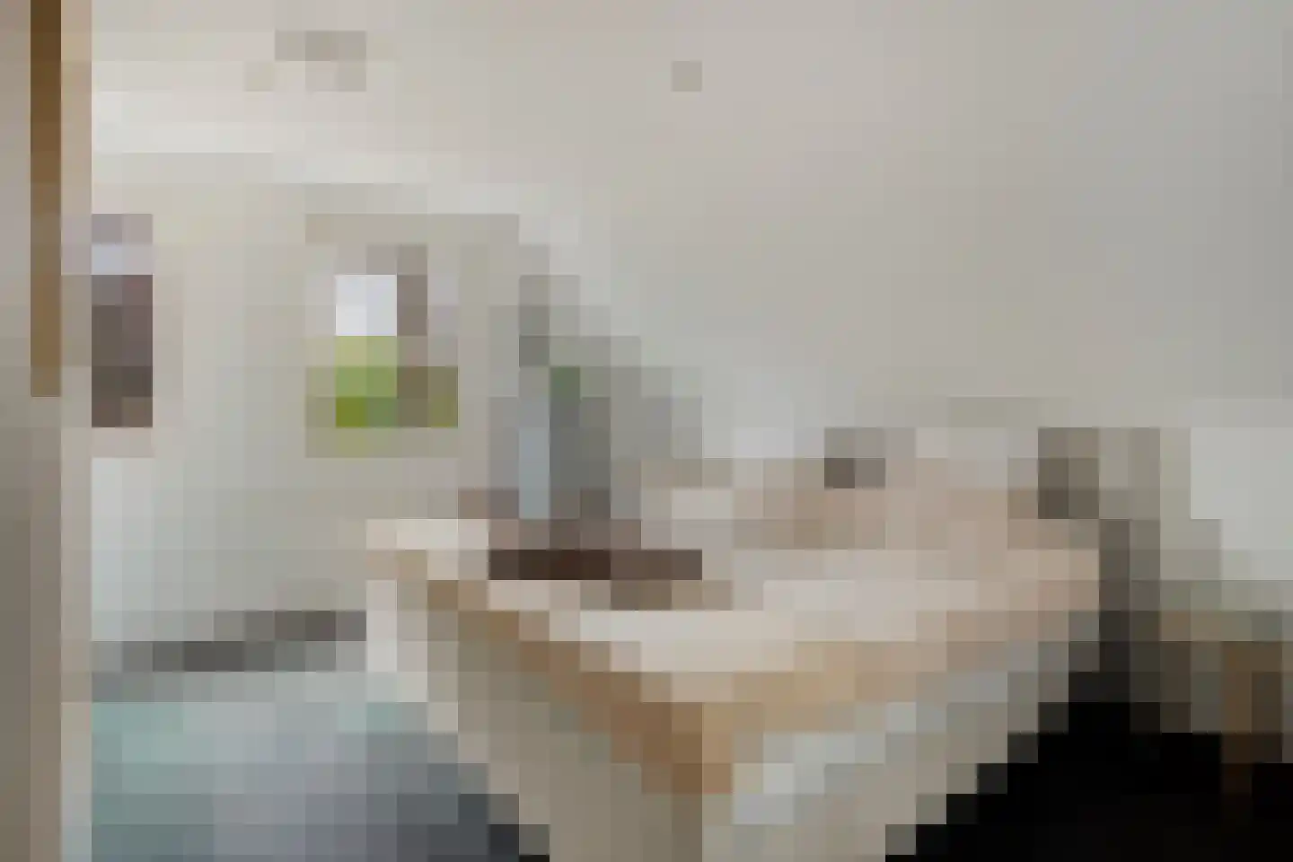 St Jacobstraat 15 De Zilk thumbnail 25