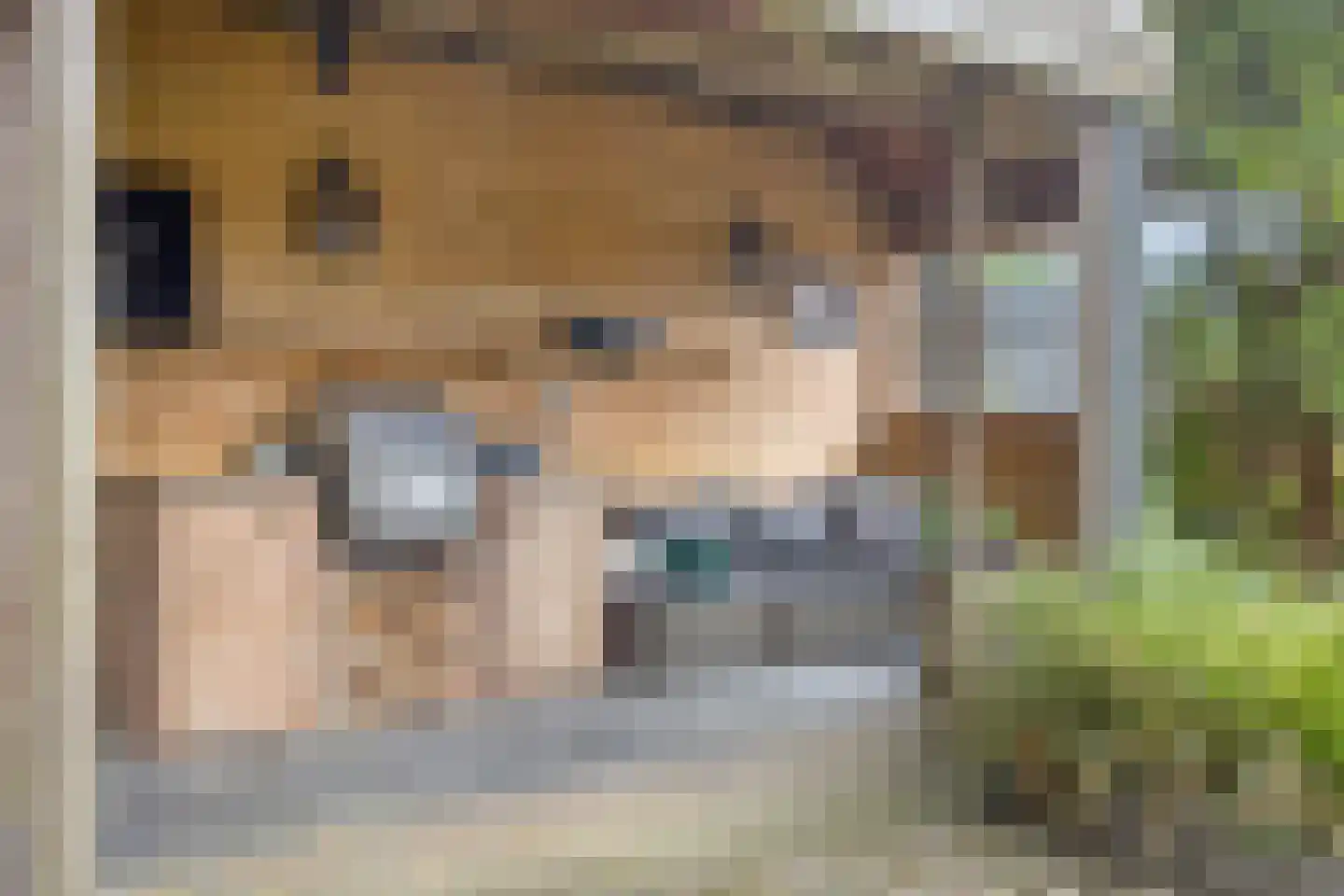St Jacobstraat 15 De Zilk thumbnail 39