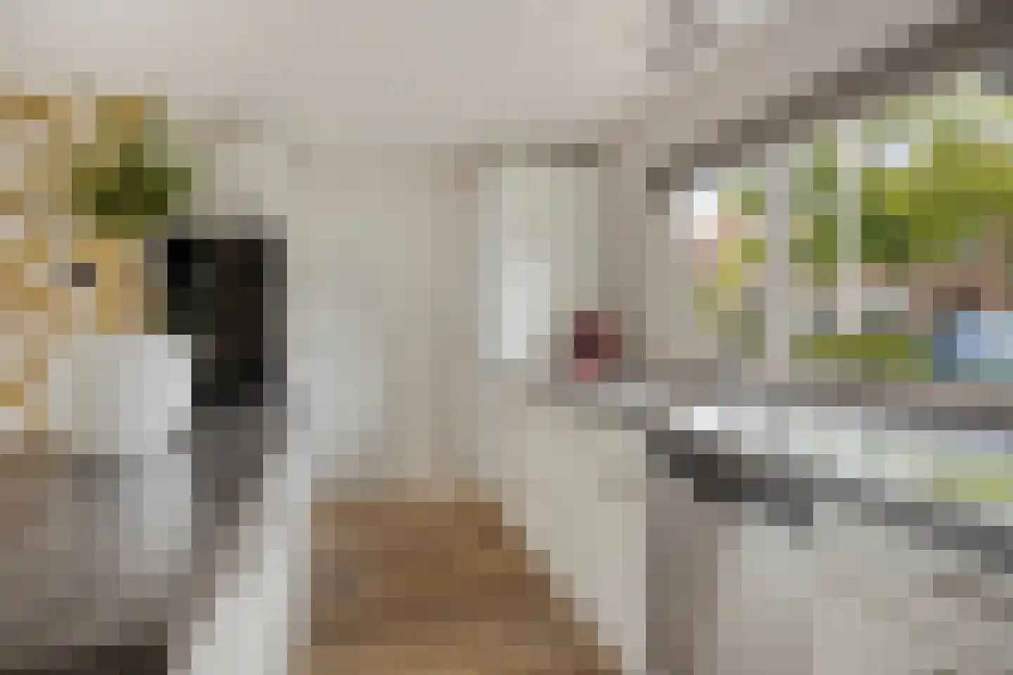 St Jacobstraat 15 De Zilk thumbnail 5