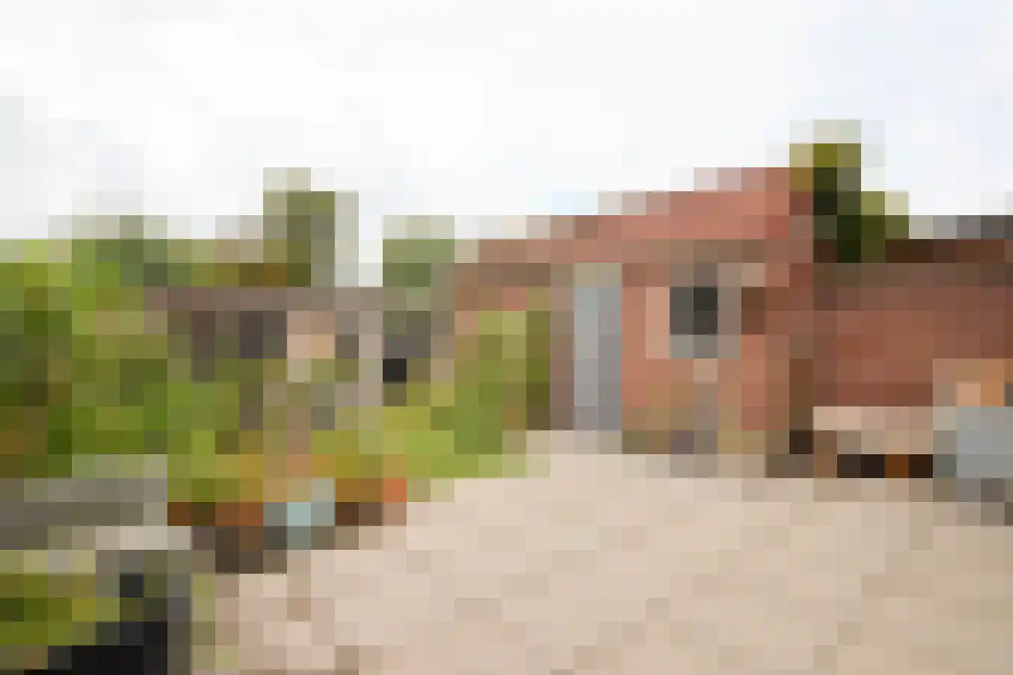St Jacobstraat 17 De Zilk thumbnail 40