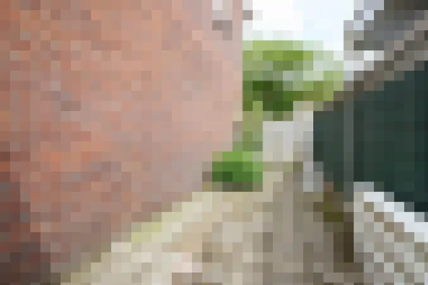 St Jacobstraat 17 De Zilk thumbnail 43